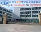石排镇工业区8700平方米欧式厂房出售