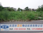 东莞凤岗有33333平方米商住用地出售
