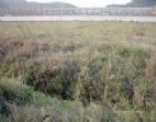 惠州龙溪有两个地皮出售