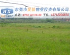 清溪镇环城路附近工业区1100亩地皮超值出售