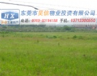 清溪镇环城路附近工业区1100亩地皮超值出售