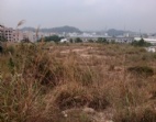 东莞地皮出售 黄江6万平方米集体土地出让