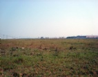 东莞长安乌沙工业区88亩工业用地/土地出售