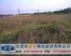 东莞大朗镇工业区50亩工业地皮/空地/用地出售