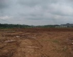 东莞洪梅50亩工业用地/地皮出售，环境优美