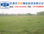 东莞横沥田坑村40亩（集体流转）工业地皮出售