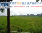 低成本东莞清溪占地25000平方工业土地出售